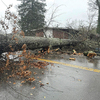 The area was slammed by a powerful storm yesterday, downing this tree on Shawnee Avenue, as photographed by the folks at the Good Times restaurant and pub.  PHOTO FROM WEBSITE